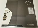 ARIZONA GALLERY 1xLP The debut Album CLEAR & WHITE MIXED VINYL