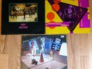 BUZZCOCKS Pete Shelley 3 LP LOT  Singles , Tension, Homosapien  vinyl VG+ albums
