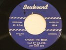 CASEY CLARK  Chokin The Reeds / Out Of The Darkness BOULEVARD MICHIGAN Bopper