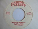 TONY BREVETT Words of Prophecy ISRAEL Nice  Roots Reggae 7
