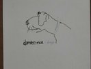 Damien Rice - DOGS 7