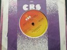 BRUCE SPRINGSTEEN/HUNGRY HEART/WRECK ON THE HIGHWAY/RARE SOUTH AFRICA DISC