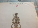 BLOSSOM TOES If Only For A Moment UK Marmalade 1969 LP original Psych