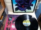 THIN LIZZY Black Rose UK 1979 VERTIGO 1st Press   Album vinyl