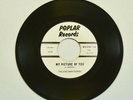 The Enchantones My Picture of You/We Fell in Lov. 45 RPM 7