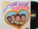 Chi-Lites LP “I Like Your Lovin”   Brunswick 754165   VG in Shrink