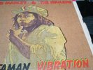 Rastaman Vibration-Bob Marley & The Wailers-Island Records-LP-VG+
