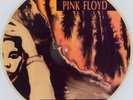 8703 Pink Floyd Omayyad LP Live Leopard No TMOQ Picture Disc