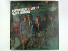 BLUES MAGOOS PSYCHEDELIC LOLLIPOP LP REPRESS VINYL 1966 PSYCH / GARAGE ROCK