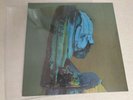 LP THE CARETAKER Everywhere At The End Of Time - Stage 4 ltd 2x BLUE VINYL Kirby