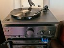 THE SELECTOR Too Much Pressure - VINYL LP, 2 TONE RECORDS UK Original 1980 - VG+