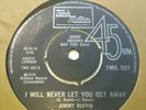 Rare TAMLA MOTOWN DEMO Jimmy Ruffin I WILL NEVER LET YOU GO norther Soul