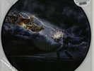 AMON AMARTH - DECEIVER OF THE GODS - LIMITED PICTURE LP