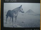 THE CHURCH - Priest=Aura - German Vinyl LP 1992, Arista ?–212643, NEAR MINT