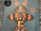 COURTEENERS: MORE AGAIN FOREVER [LP vinyl] NEW SEALED FREE UK DELIVERY