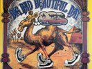 It's A Beautiful Day - Choice Quality Stuff/Anytime // LP - 1. NL-Pressing 1971