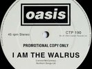 Oasis   I Am The Walrus 12” Vinyl Limited Edition Single Sided 45 RPM