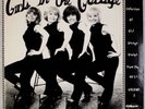 GIRLS IN THE GARAGE: Vol 2  Romulan Compilation The Blue Orchids Vinyl LP
