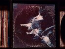 Weather Report ? 1971 Self-Titled Debut ? Rare Columbia Records 1st Press NM LP