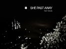 SHE PAST AWAY Narin Yalnızlık LP Vinyl Dark Wave Gothic Rock Post-Punk The Cure