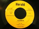 THRILLERS 'Lizabeth / Please Talk To Me  Doo Wop R&B Rock 45 Orig.