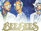 Bee Gees Timeless - The All-Time Greatest Hits 180gm Vinyl 2 LP NEW sealed