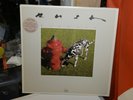 Rush Signals Vinyl LP Original 1982 Inner Sleeve RARE PROMO MINT