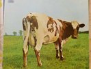 PINK FLOYD LP ATOM HEART MOTHER 1976 ITALY REISSUE VG++/EX