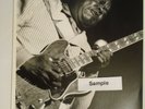 Freddie King PHOTO B&W Original 8
