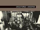 Uncle Tupelo - Anodyne NEW SEALED limited LP on colored vinyl