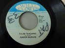 RARE REGGAE JUNIOR MURVIN FALSE TEACHING PERRY WILD FLOWER 1976 JAMAICA 45  VG