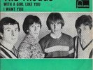 THE TROGGS 45 WITH A GIRL LIKE YOU+PS HOLLAND RARE 1966