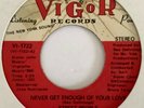 70s/Modern Soul  STREET PEOPLE  Never get enough of your love - '75 US VIGOR EX-