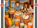 THE CONGOS - Heart of the Congos LP - Vinyl Album - Lee Perry Scientist Record