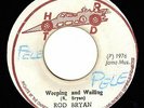 ROD BRYAN-weeping & wailing    hot rod 7