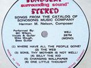 SONOBEAT  LP   BILL WILSON  Private Label ** ONLY 100 MADE  **  Texas Psych Folk