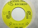 northern sweet soul 45 CANDI-BARS I Believe in You  CANDY-STIX listen