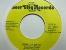funk soul boogie 45 ROWLAND SHELL Come on Back BEER CITY listen synth