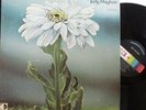 JUDY MAYHAN - Self Titled   VINYL LP US PRESS