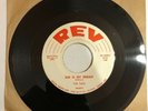 THE TADS: She is My Dream / Wolf Call REV Doo Wop Rare 45 Original