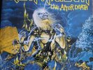 D Lp Iron Maiden ( Live After Death )  sehr schöner Zustand