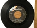 NEAL FORD & FANATICS 45 Shame On You 1966 Texas Mod Garage Psych HICKORY