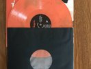 Flamingosis - Great Hair (Very Rare) Orange Vinyl Edition A+ Mint.