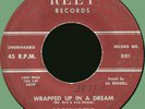 DO-RAY-ME TRIO Wrapped Up in a Dream / Why Did You Do It Baby 45rpm Reet 1958