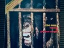 Giuliani Sorgini - Zoo folle - OST - SMRL 6141 Ricordi 1974