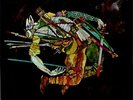 Morton Subotnick The Wild Bull vinyl LP album record UK H-71208 NONESUCH 1968