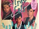 STRAY CATS 