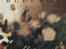 Blueboy Unisex UK vinyl LP album record SARAH20 SARAH 1994