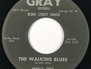 ARVELLA GRAY The Walking Blues / John Henry Gray Rare Blues VG++ 45 HEAR