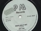 JAH LION* White Belly Rat b/w BLACK ART * Vampire * 1978 REGGAE DUB UK 45 *